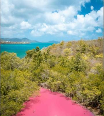 Villa Cherry Le Diamant Luaran gambar